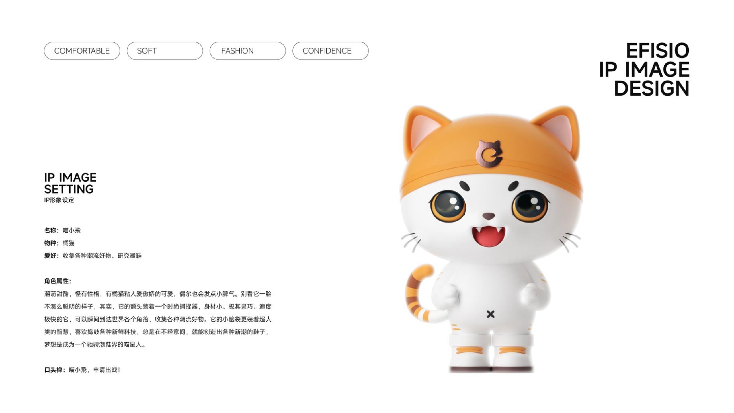 鞋帽品牌全案策劃-時(shí)尚單品品牌vi設(shè)計(jì)